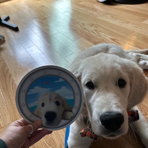 Annmarie added a photo of their purchase