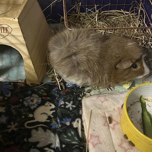 Mariam added a photo of their purchase