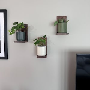 Anthony added a photo of their purchase