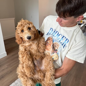 Allyson added a photo of their purchase