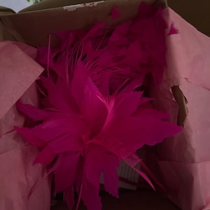 Sandra added a photo of their purchase