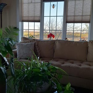 Lynda added a photo of their purchase