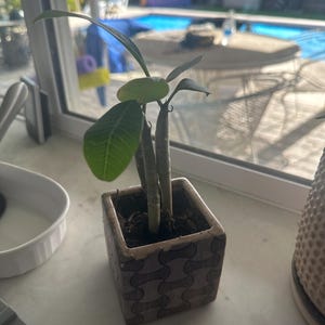 JANET added a photo of their purchase