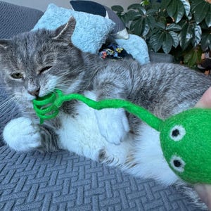 Madeline added a photo of their purchase