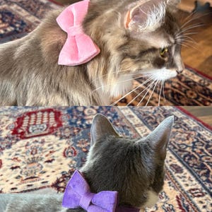 Elizabeth added a photo of their purchase