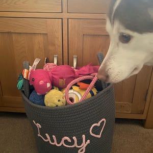 Sarah added a photo of their purchase