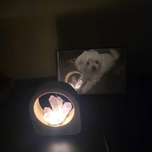 RunningOnQuickSand added a photo of their purchase
