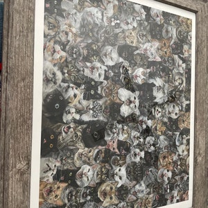 Harrison added a photo of their purchase