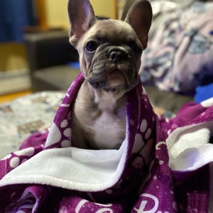 Denise a ajouté une photo de son achat