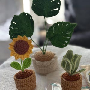 Liz さんが購入した商品の写真を追加しました