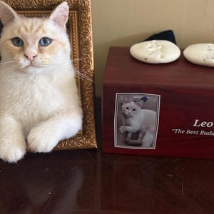 Tana added a photo of their purchase