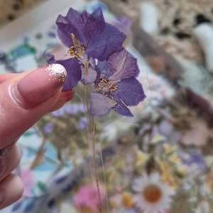 Comprador de Etsy ha añadido una foto de su compra