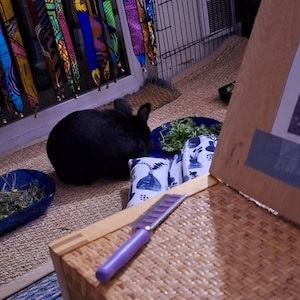 Roberta added a photo of their purchase