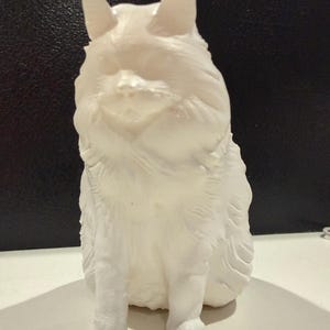 Mindy added a photo of their purchase