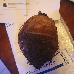 Randy added a photo of their purchase