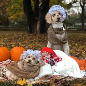 Granny/Big Bad Wolf Dog Halloween Bonnet size Small Medium | Etsy