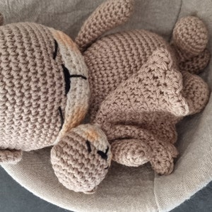 Hazuki added a photo of their purchase