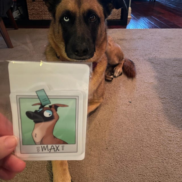 Australian Shepherd Sticker || Velociraptor Puppy Pun - Main Image