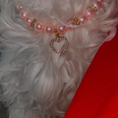 Pink Pearl Necklace for Dogs and Cats With Heart Charm, Dog Pearl