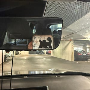 Lena added a photo of their purchase