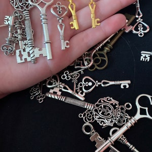 Lucy added a photo of their purchase