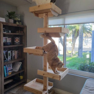 Outdoor cat tree unfinished cedar eco friendly outlet