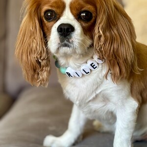Melissa heeft een foto van zijn/haar aankoop toegevoegd