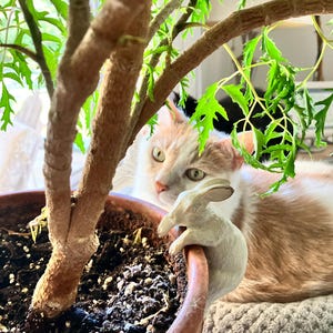 Jane a ajouté une photo de son achat