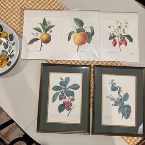 b added a photo of their purchase