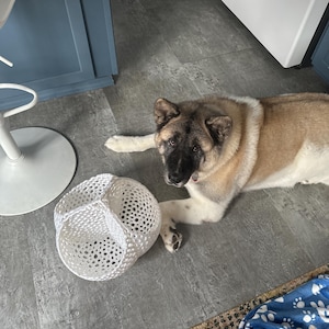 Salty added a photo of their purchase