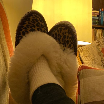 sheepers leopard