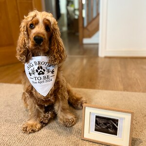 Zoe added a photo of their purchase