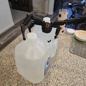 Fred adicionaram uma foto da sua compra