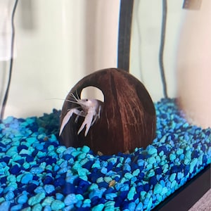 Nancy added a photo of their purchase