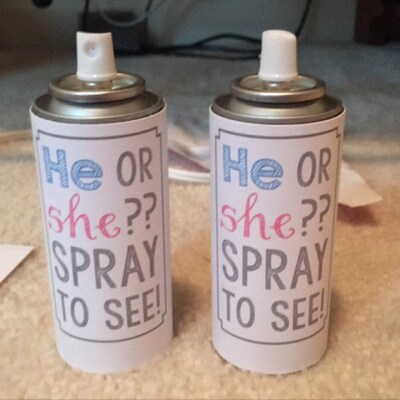 Gender Reveal Silly String Label He or She Instant Download Printable ...