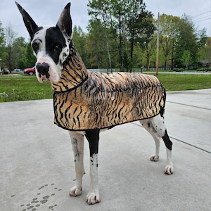 Kennedy added a photo of their purchase