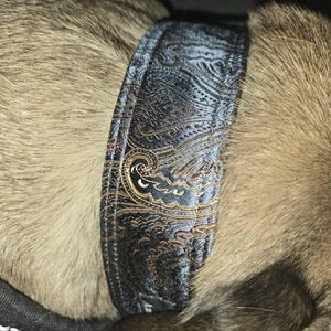 Lidia added a photo of their purchase
