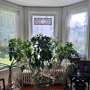 Karen added a photo of their purchase