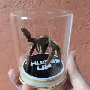 Steve added a photo of their purchase