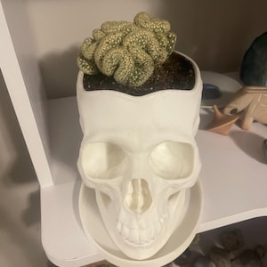 Devon added a photo of their purchase