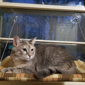 ValerieB added a photo of their purchase