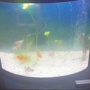 David added a photo of their purchase