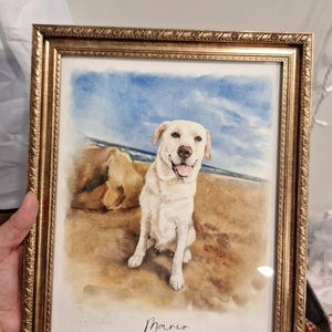 Vy added a photo of their purchase