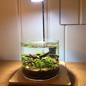 Marla added a photo of their purchase