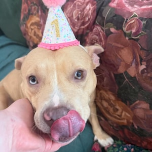Laura added a photo of their purchase
