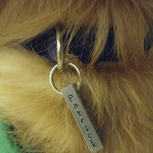 Rachel added a photo of their purchase
