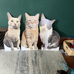 Amanda added a photo of their purchase