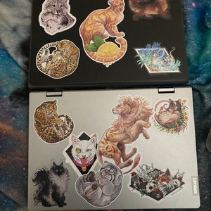 Rosalyn added a photo of their purchase