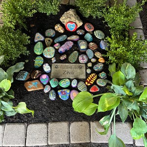 Debra added a photo of their purchase