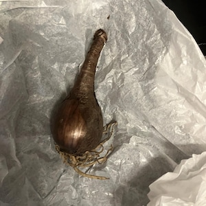 Rachel added a photo of their purchase